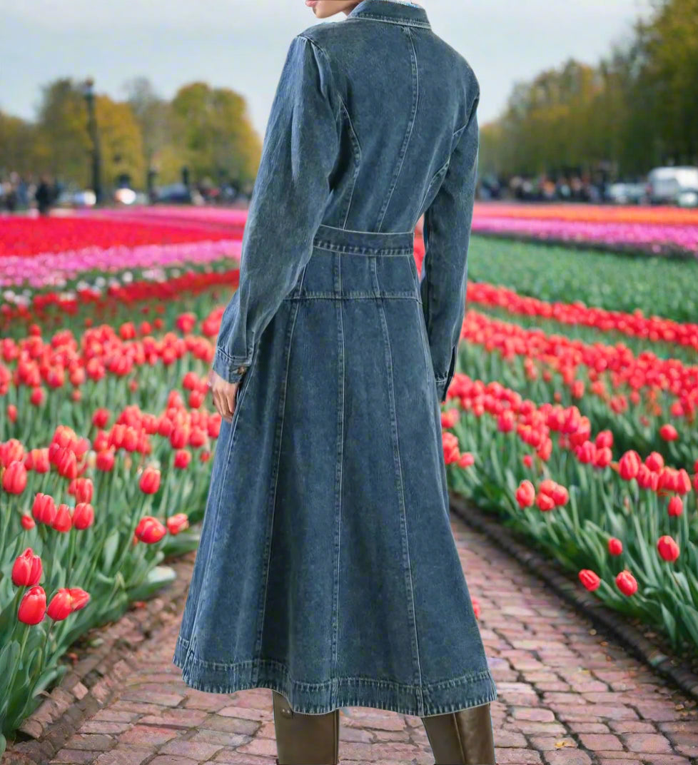 A Walk in the Park, washed denim dress