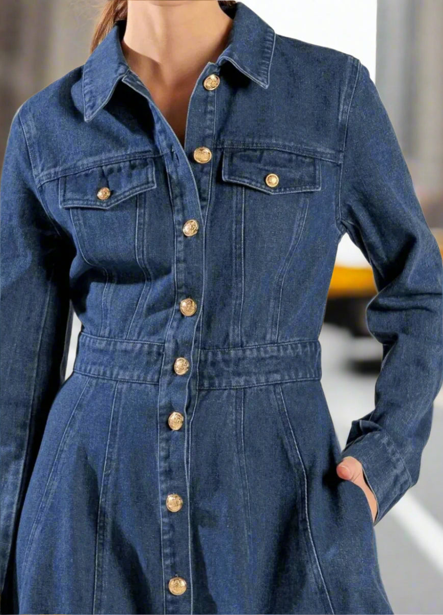 Classic Denim Dress